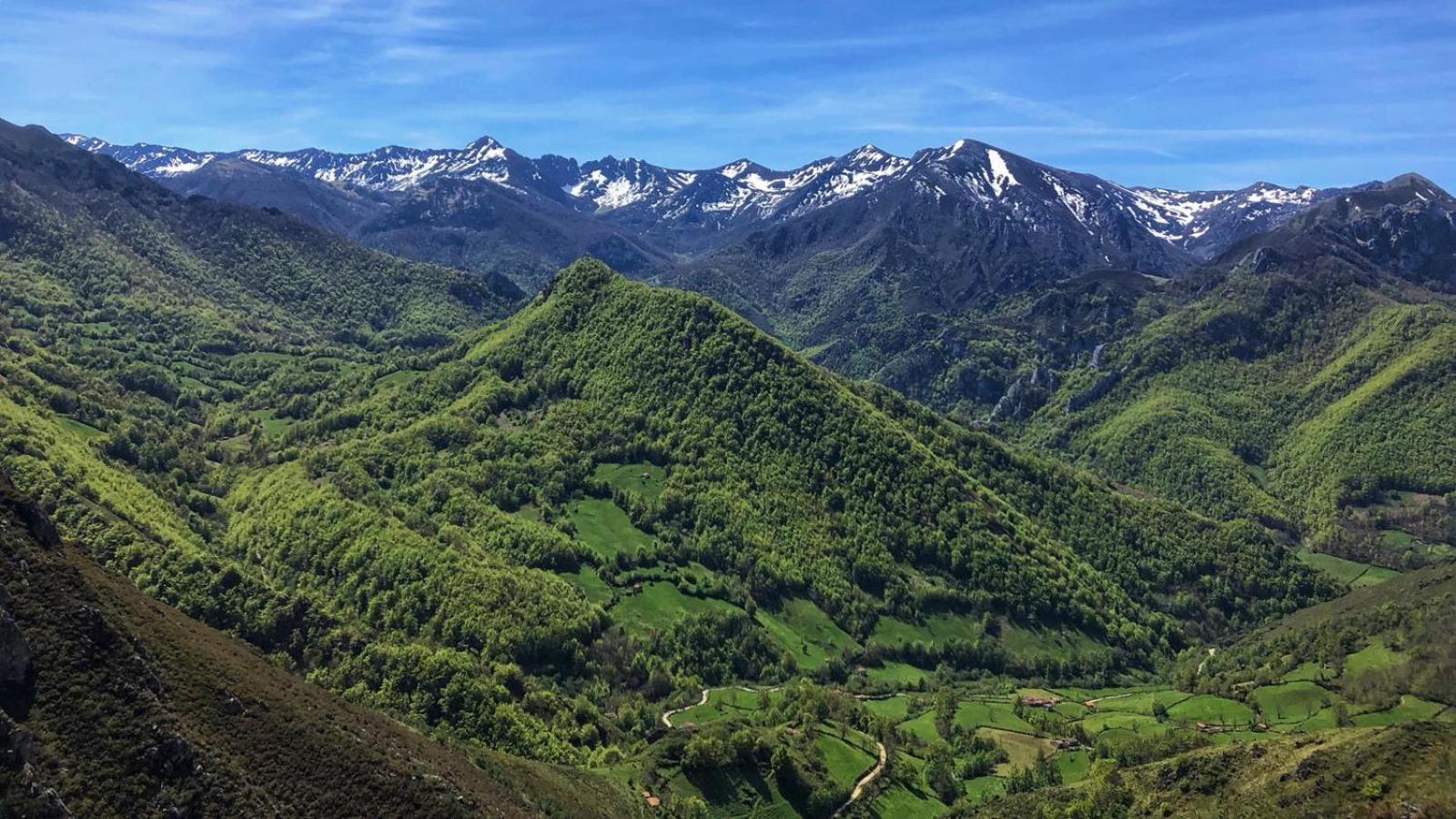 La Berrea Cabanaquinta Aller المظهر الخارجي الصورة